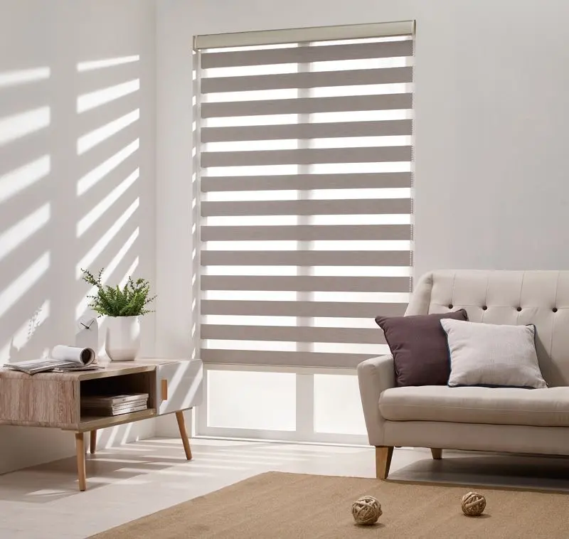Classic Zebra Blinds view 1
