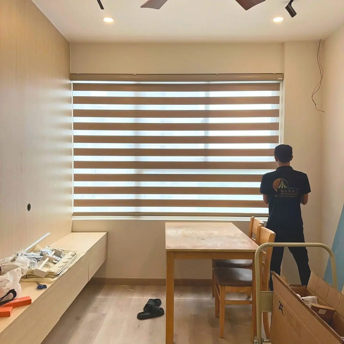 Classic Zebra Blinds view 2